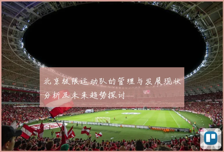北京极限运动队的管理与发展现状分析及未来趋势探讨