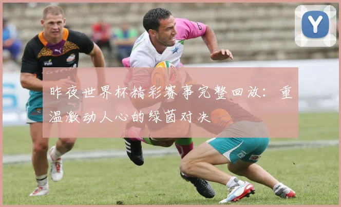 昨夜世界杯精彩赛事完整回放:重温激动人心的绿茵对决
