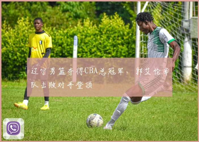 辽宁男篮夺得CBA总冠军,郭艾伦率队击败对手登顶