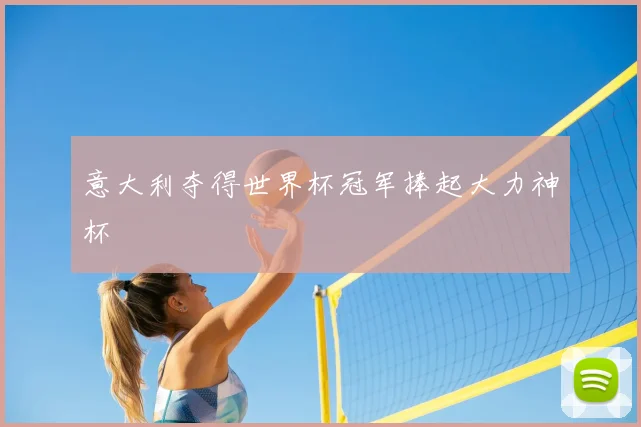意大利夺得世界杯冠军捧起大力神杯