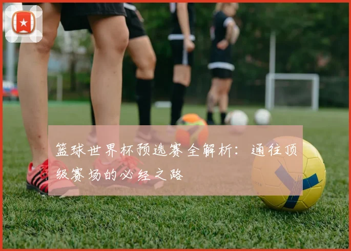 篮球世界杯预选赛全解析:通往顶级赛场的必经之路