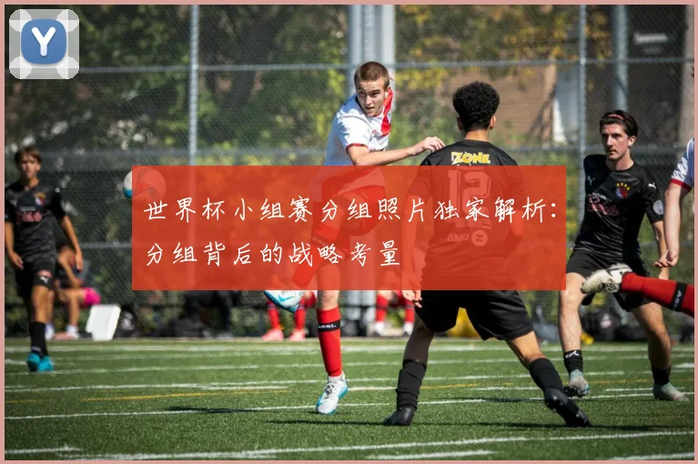 世界杯小组赛分组照片独家解析：分组背后的战略考量