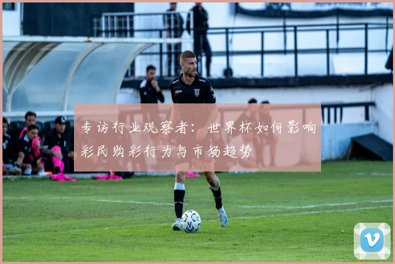 专访行业观察者:世界杯如何影响彩民购彩行为与市场趋势