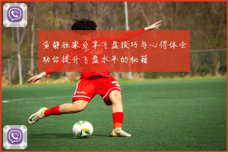 黄静独家分享飞盘技巧与心得体会助你提升飞盘水平的秘籍