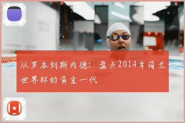 从罗本到斯内德:盘点2014年荷兰世界杯的黄金一代