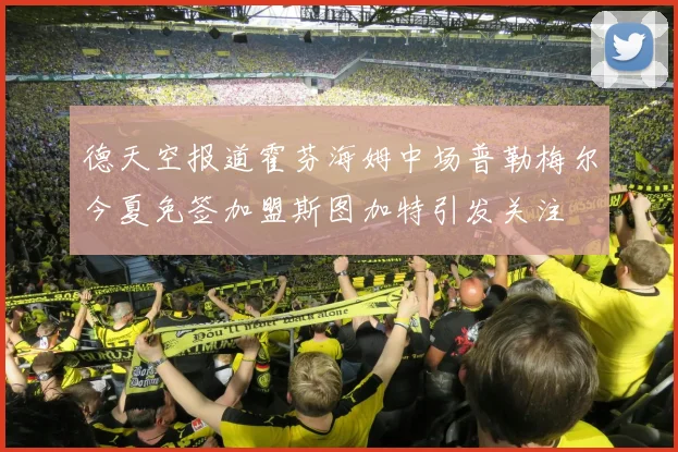 德天空报道霍芬海姆中场普勒梅尔今夏免签加盟斯图加特引发关注