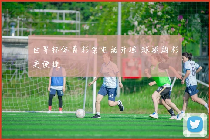 世界杯体育彩票电话开通 球迷购彩更便捷